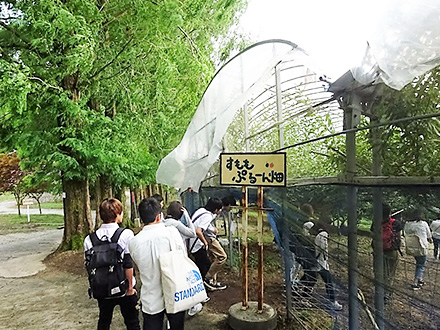 有限会社平田観光農園